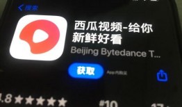 西瓜爆料视频,精彩瞬间一网打尽