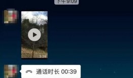 新闻也可以爆料动物,揭秘动物界的奇闻轶事