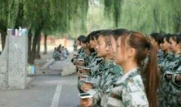 教官所有爆料视频播放,揭秘军事训练幕后真相