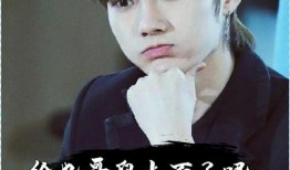 任豪爆料大全视频,揭秘娱乐圈幕后真相