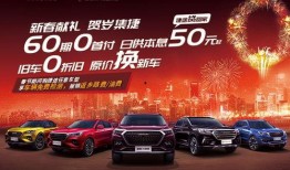 常德捷途车主爆料事件视频,视频揭露惊人真相