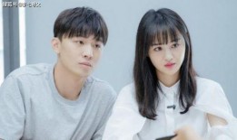 张恒爆料郑爽事件整理视频,事件全解析