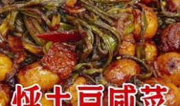 热点爆料做菜视频下载,跟随短视频学做热门菜式