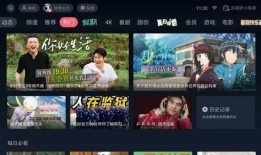 记者爆料大牌视频下载安装,大牌视频下载安装背后的秘密