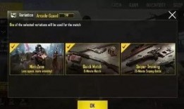 吃鸡外服爆料视频大全,揭秘游戏幕后精彩瞬间