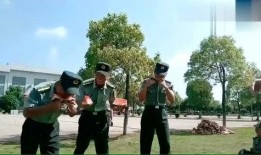 教官所有爆料视频播放,揭秘军事训练幕后真相