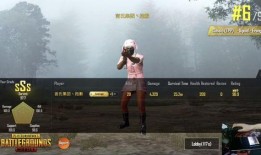 吃鸡外服爆料视频大全,揭秘游戏幕后精彩瞬间