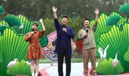 印度爆料暗杀视频大全最新,最新爆料视频大盘点