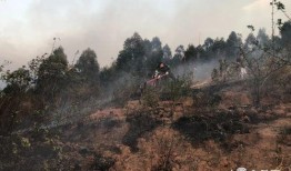 凉山西昌新闻爆料,火场救援紧张进行中