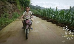 路边野餐手机在线观看,手机在线重温经典悬疑之旅