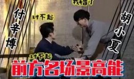 大叔和黄琴被爆料视频,真相与争议