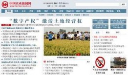 农民新闻视频爆料网站
