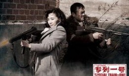 专列一号在线观看,揭秘神秘列车背后的惊险故事
