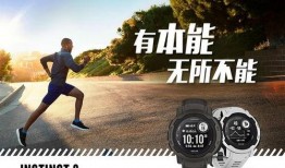 本能2手机版在线观看,激情燃烧的续集，在线观看带你重返惊险刺激的战场