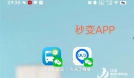 实时最新爆料小程序,小程序背后的秘密与趋势