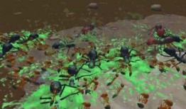 地下蚁国爆料视频最新,最新爆料视频深度解析