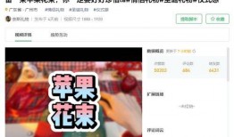 爆料视频类型是什么意思,揭秘网络爆料背后的真相与类型解析