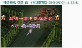 疑似玩家娱乐爆料怎么办,真相与猜测并存