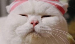 刘大锤最新爆料表情,揭秘娱乐圈最新热点事件