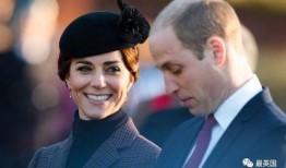 威廉王子 爆料视频合集,威廉王子爆料视频合集深度解析