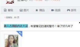 大盗爆料视频大全下载,惊心动魄的盗界风云