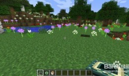 我的世界最新爆料末地,揭秘Minecraft最新爆料中的神秘末地世界