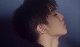 王俊凯华晨宇最新爆料,揭秘娱乐圈幕后故事