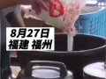 网友爆料美食视频大全集,网友爆料美食大全集